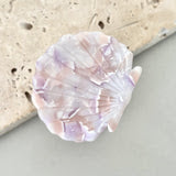 Shell Hair Claw