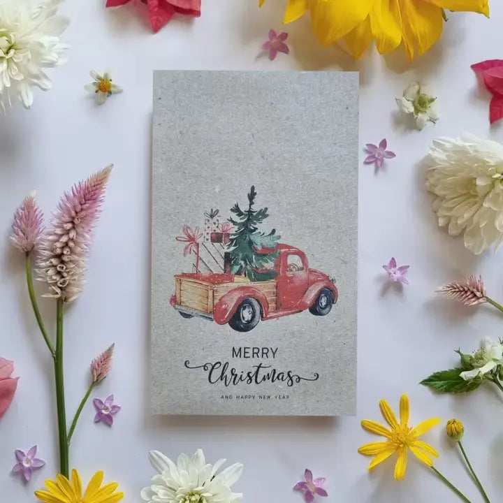 CHRISTMAS TRUCK - WILDFLOWER SEEDS