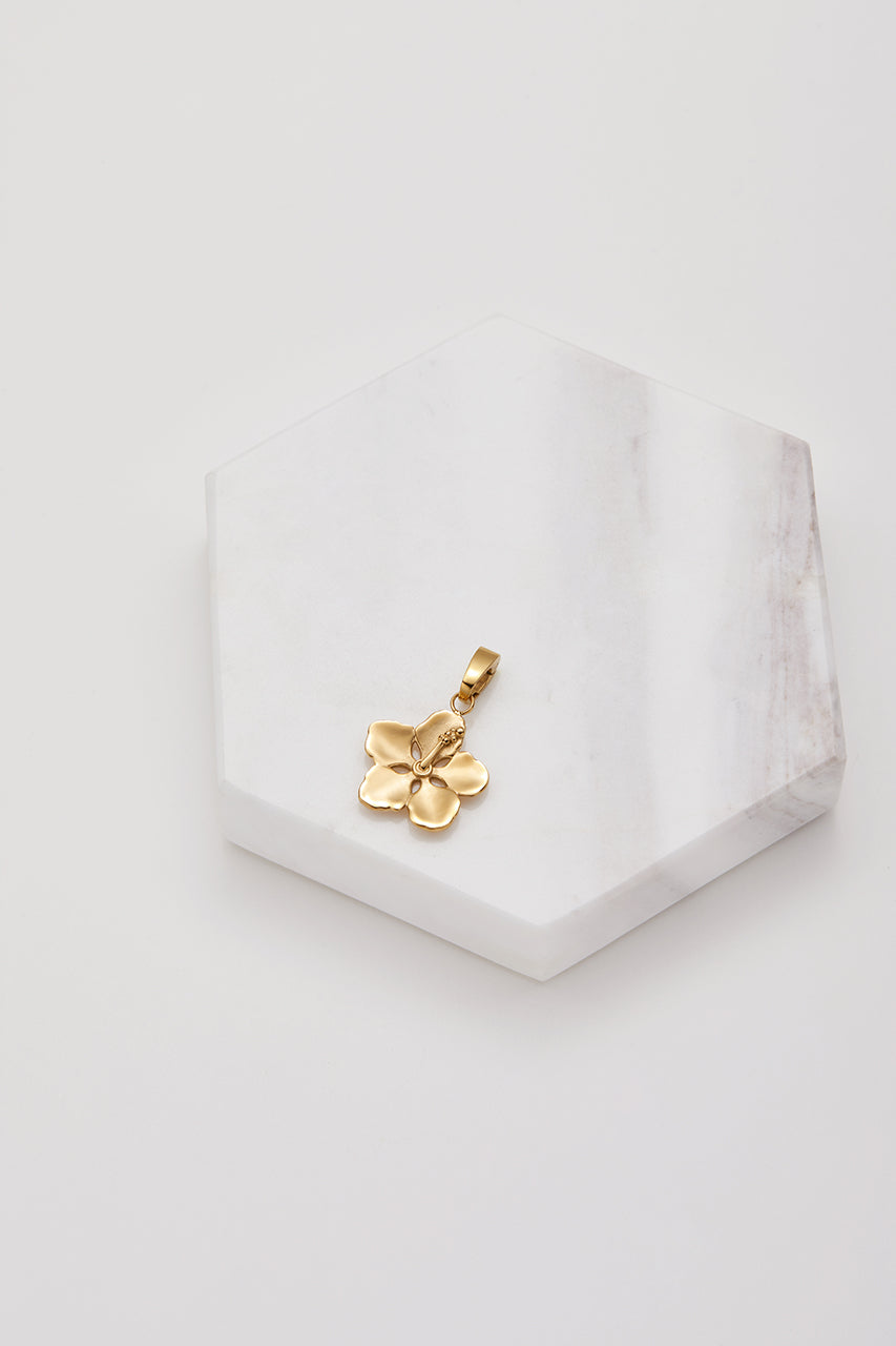 Charms