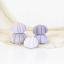 Sea Urchin (purple large)