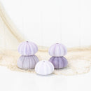 Sea Urchin (purple large)