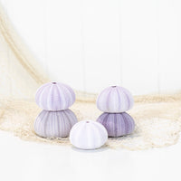 Sea Urchin (purple large)