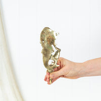 Mermaid Brass Hooks