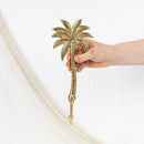 Hayman Palm Hook