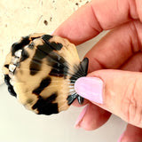 Shell Hair Claw