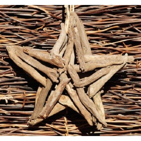 Driftwood Christmas Star