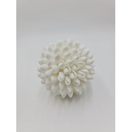 Shell Ball
