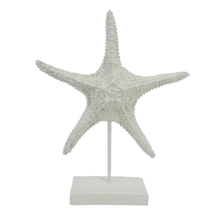 STARFISH ON STAND